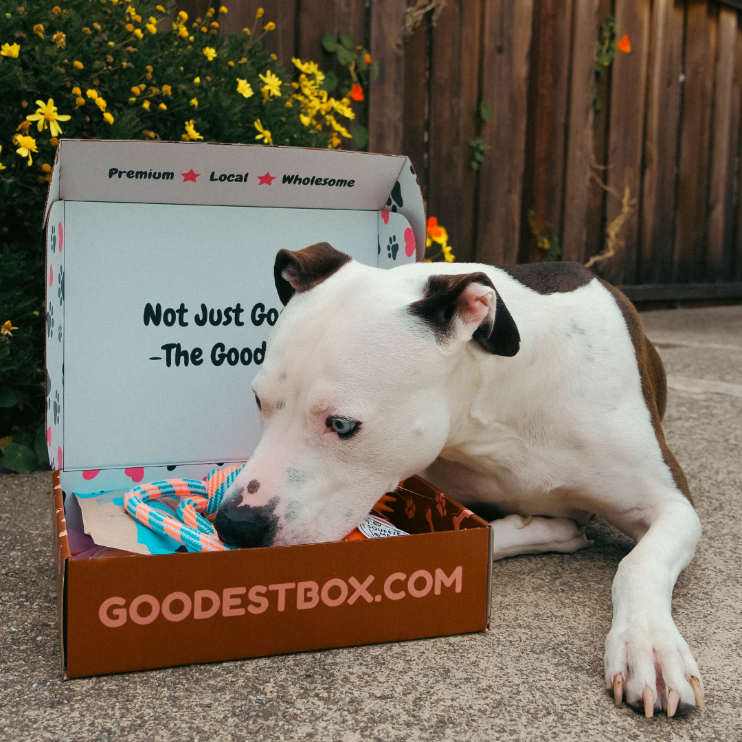 Everyday Vitality Box