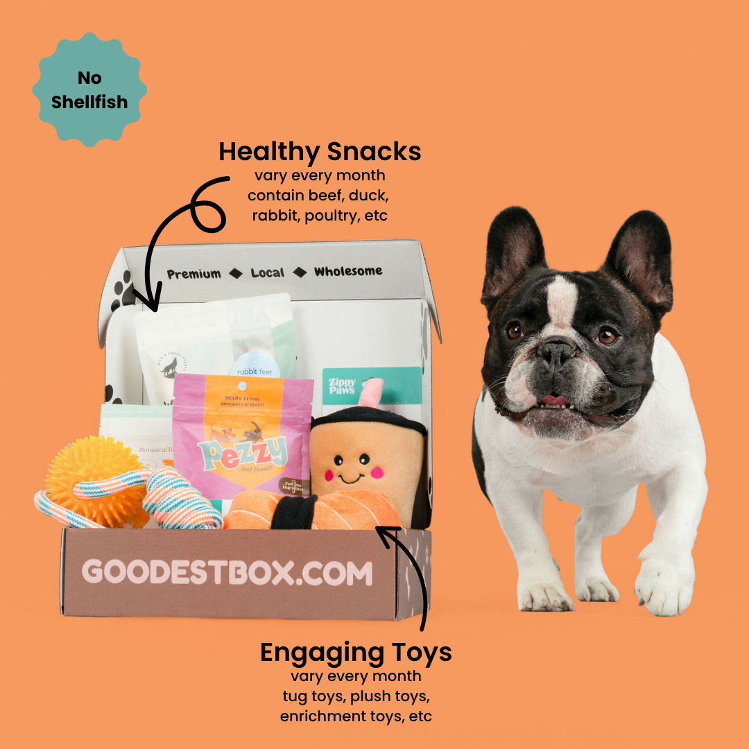 Everyday Vitality Box