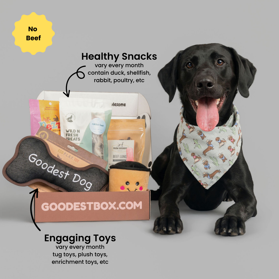 Everyday Vitality Box