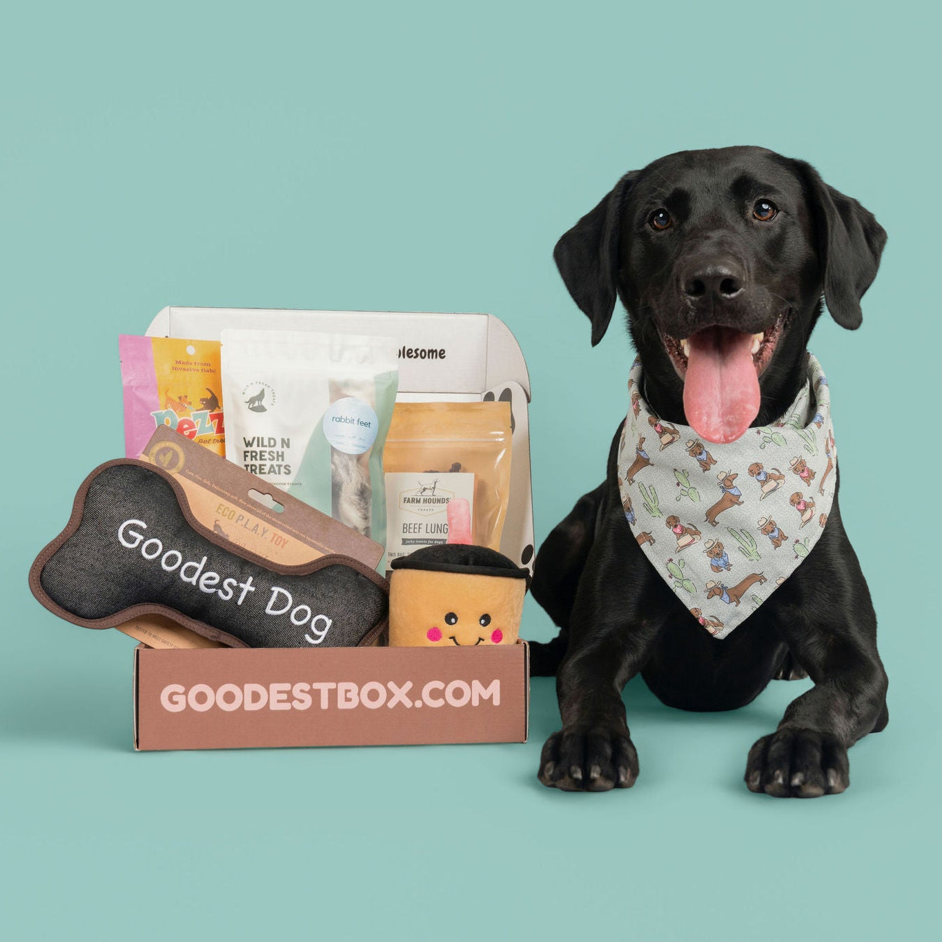 Everyday Vitality Box