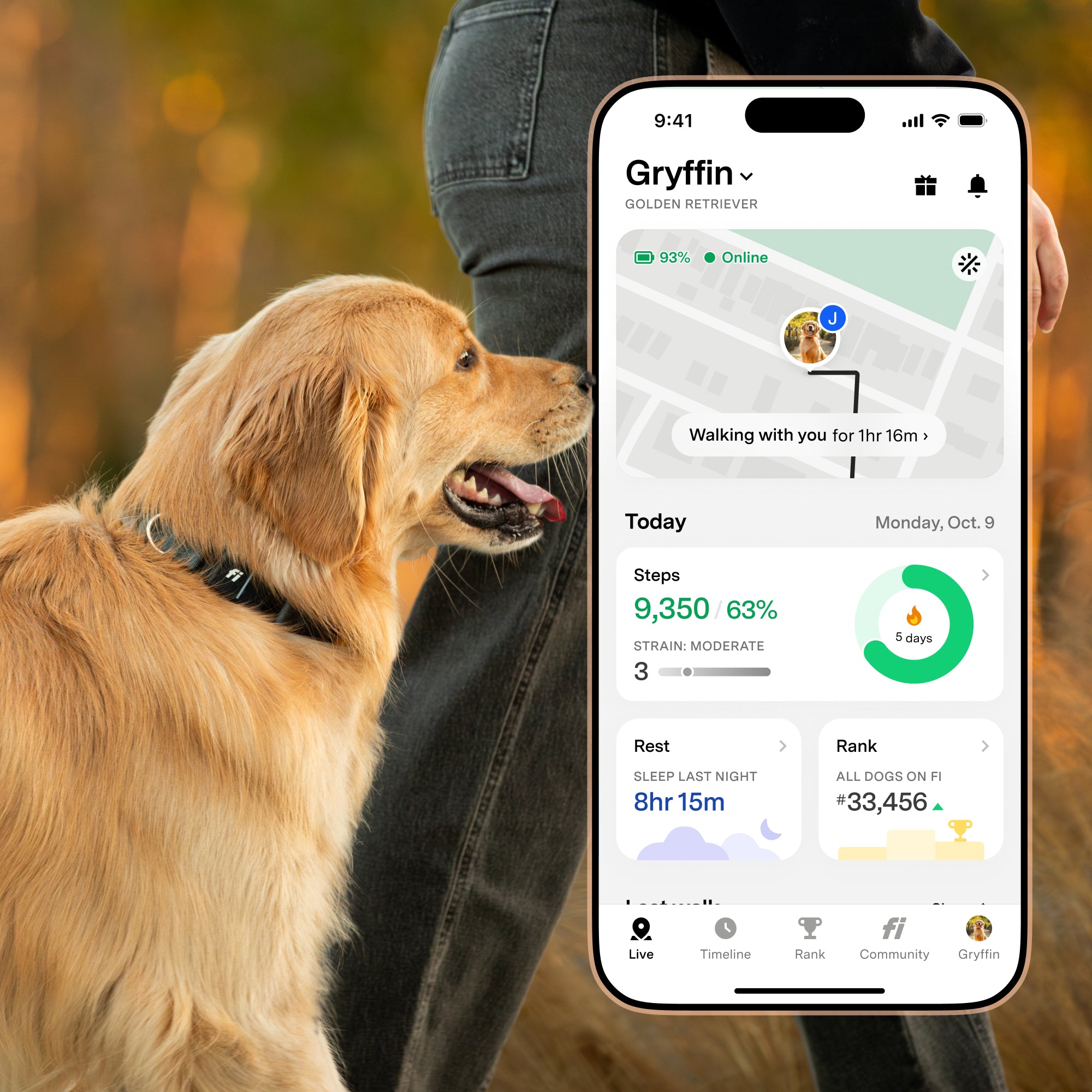 Everyday Vitality Box - Fi Giveaway