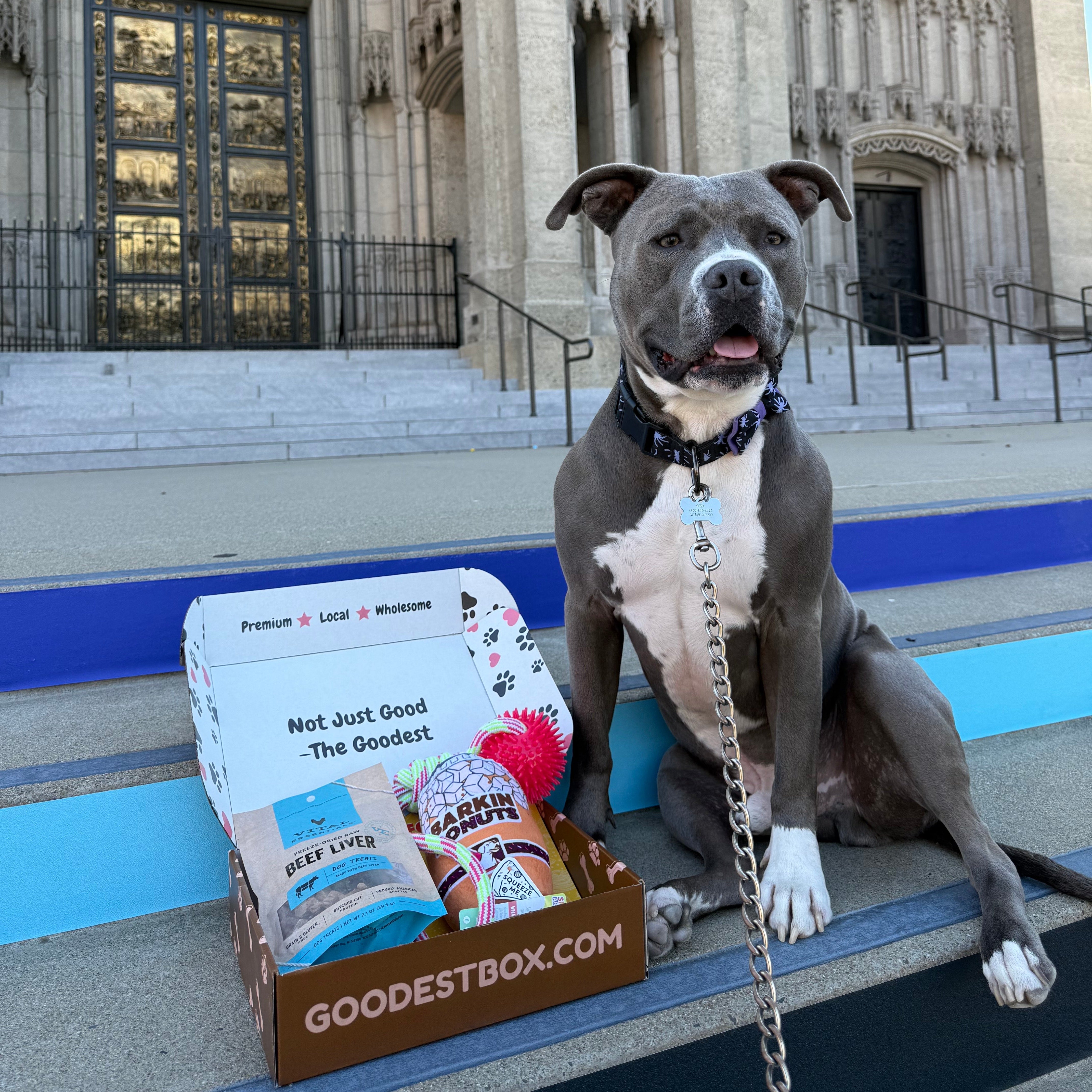 Everyday Vitality Box