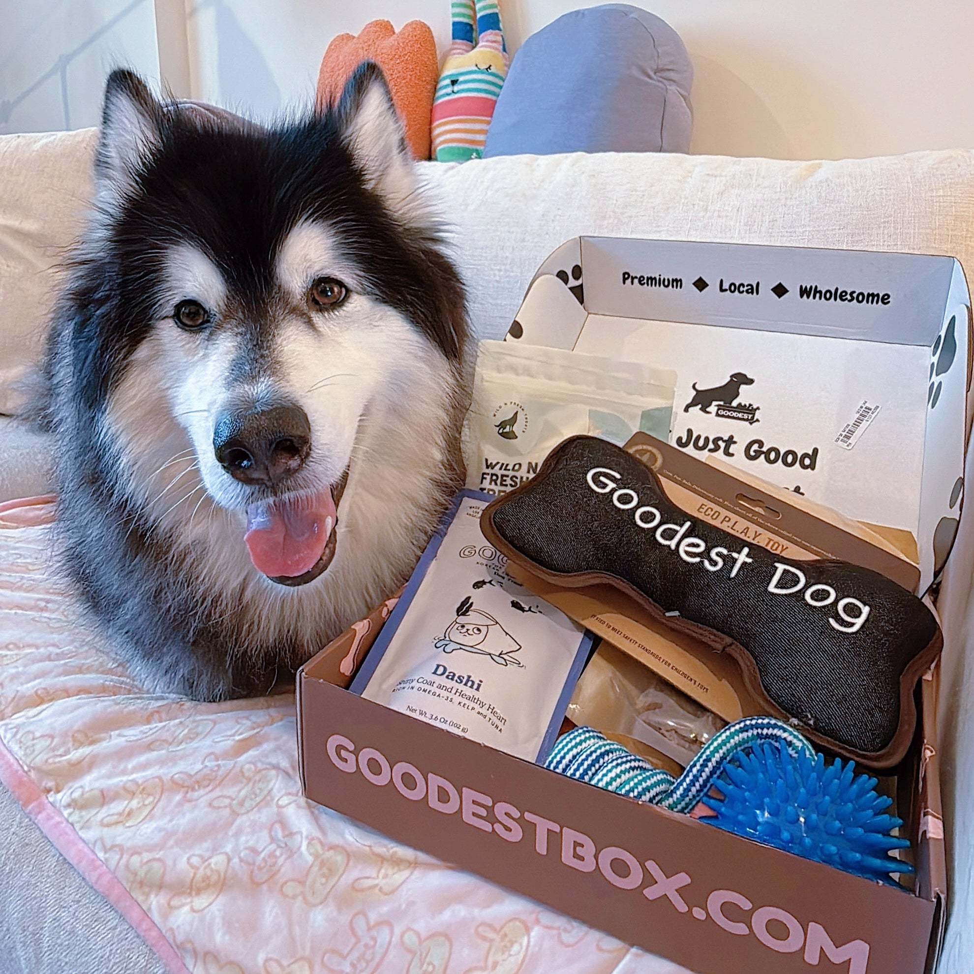 Everyday Vitality Box - Fi Giveaway