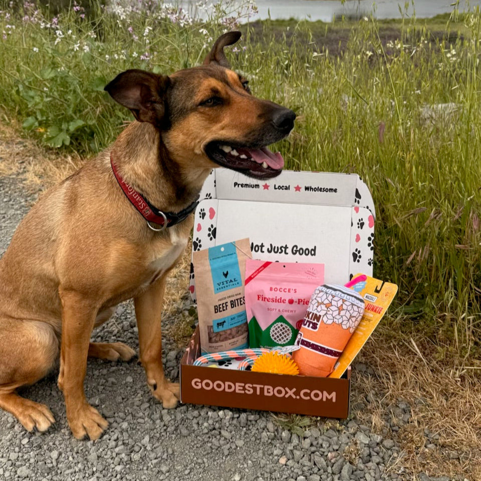 Everyday Vitality Box