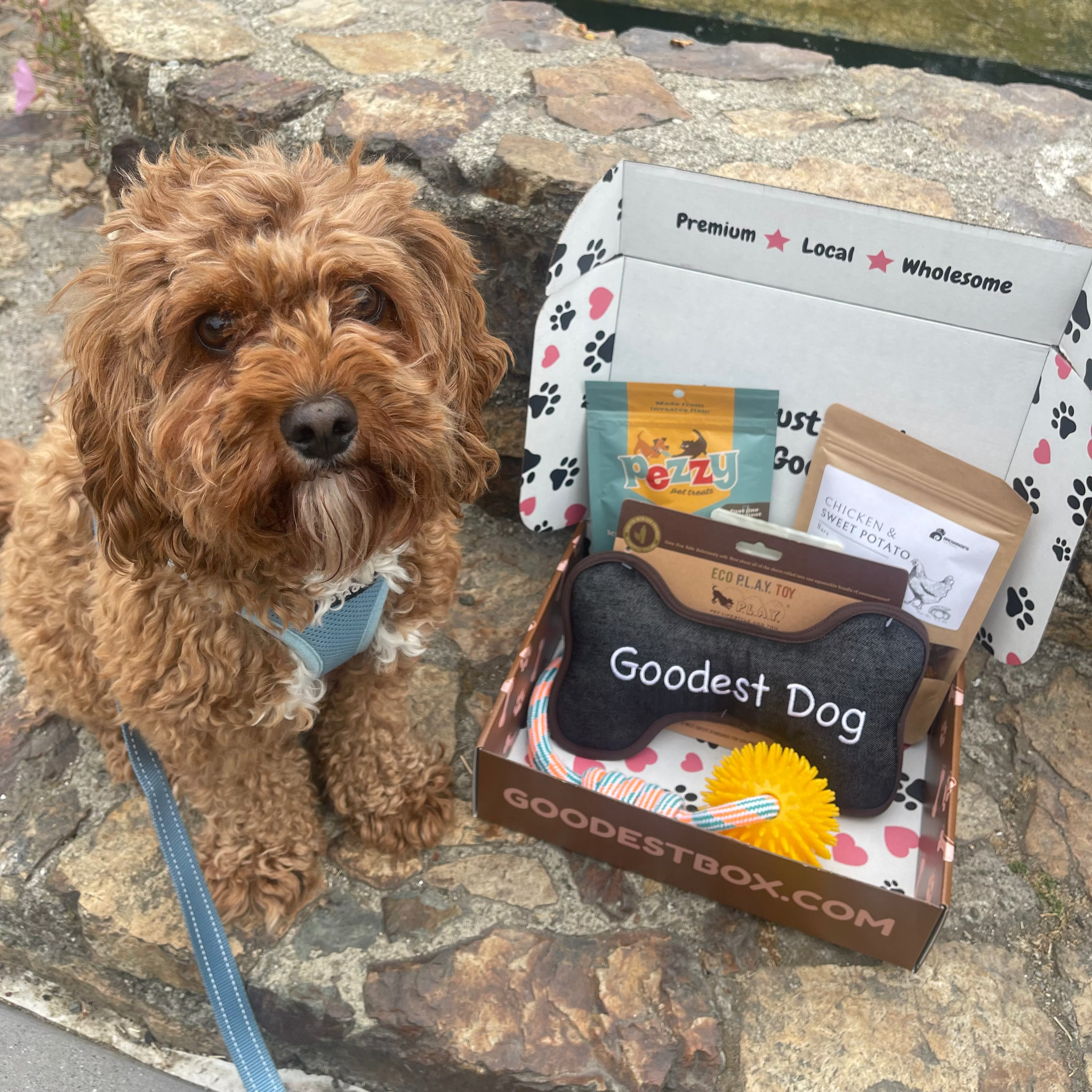 Everyday Vitality Box