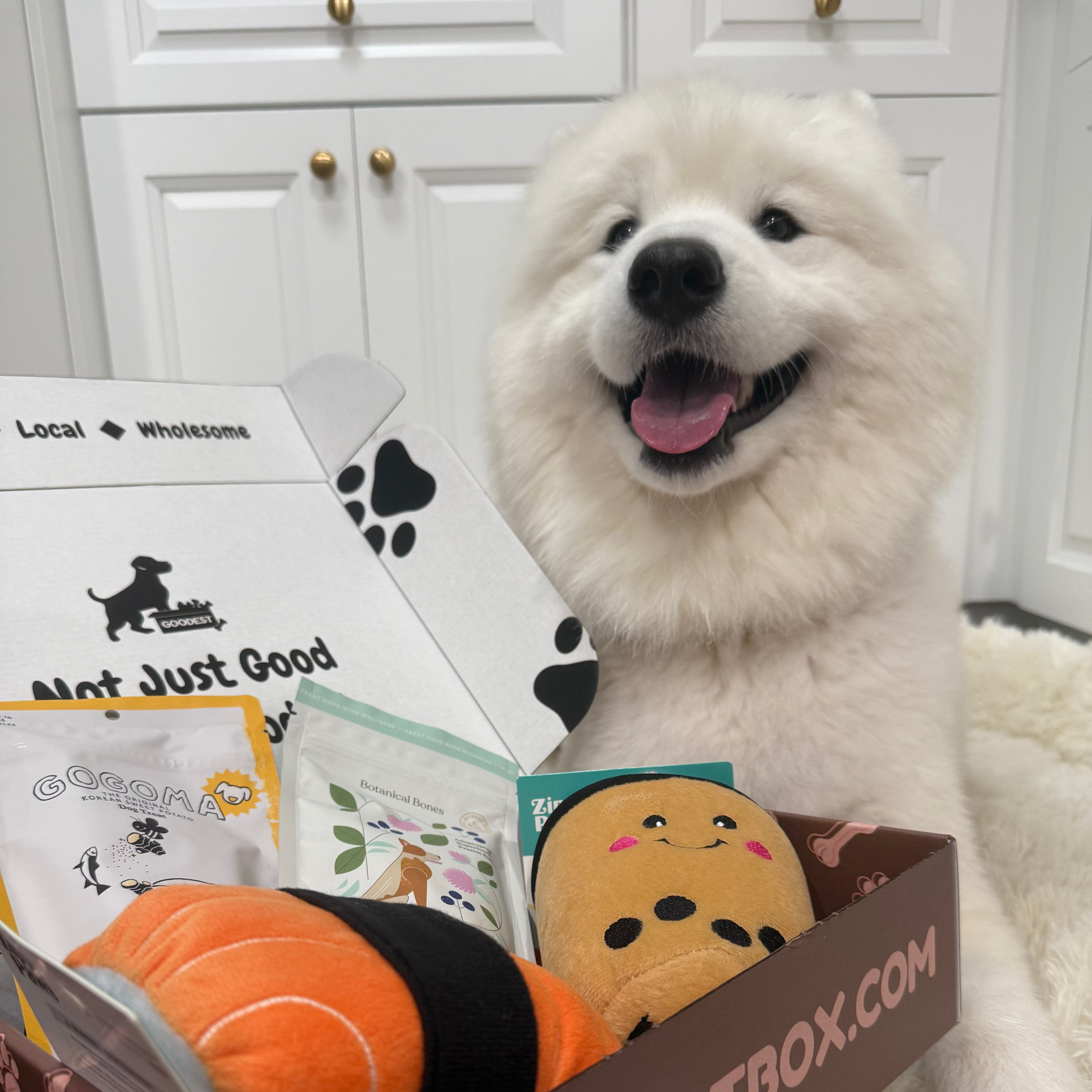 Everyday Vitality Box - Fi Giveaway