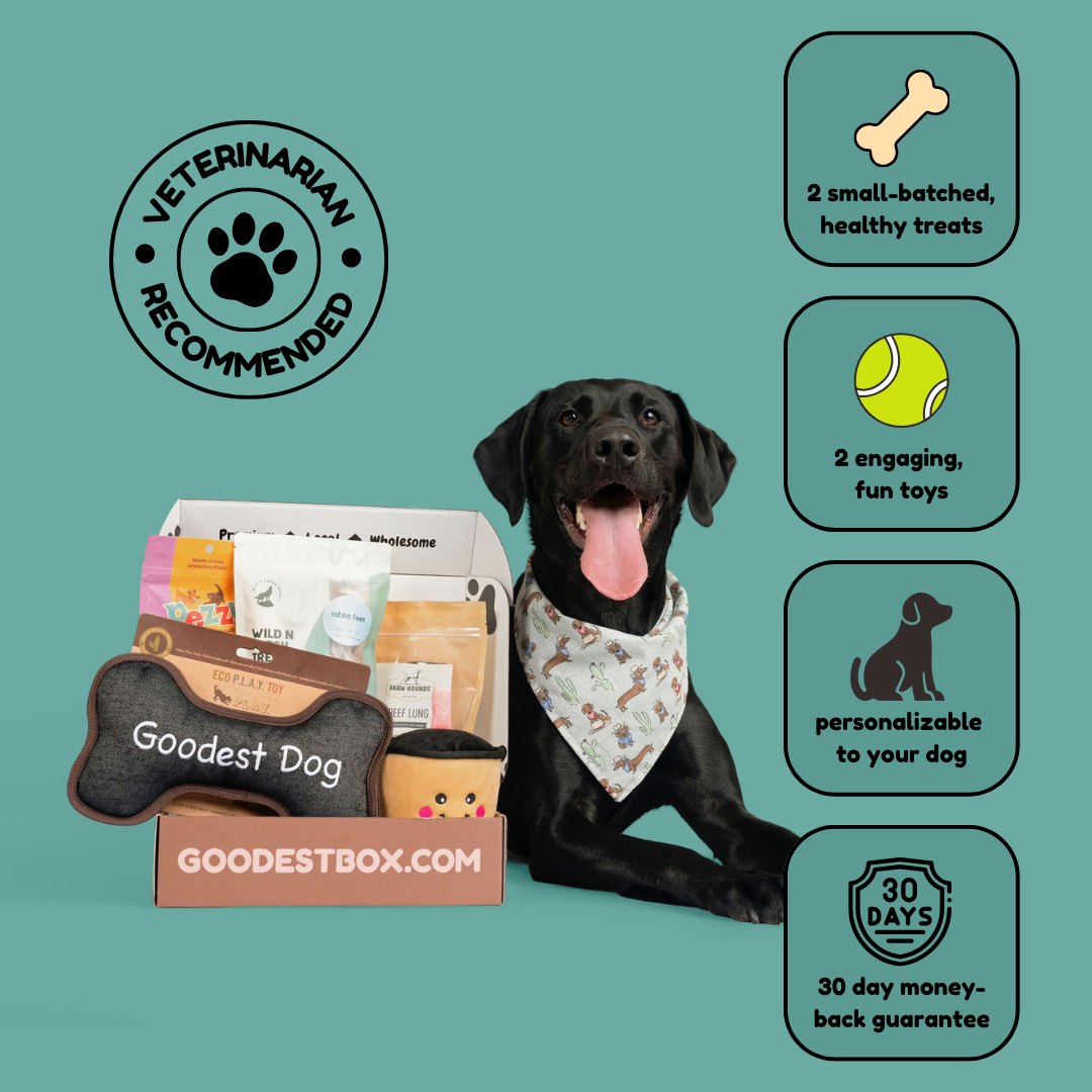 Everyday Vitality Box