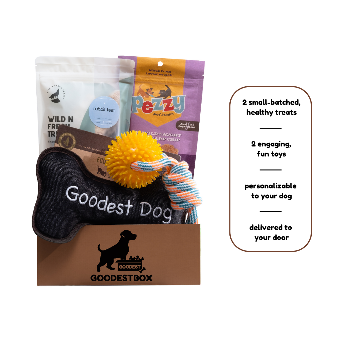 Everyday Vitality Box