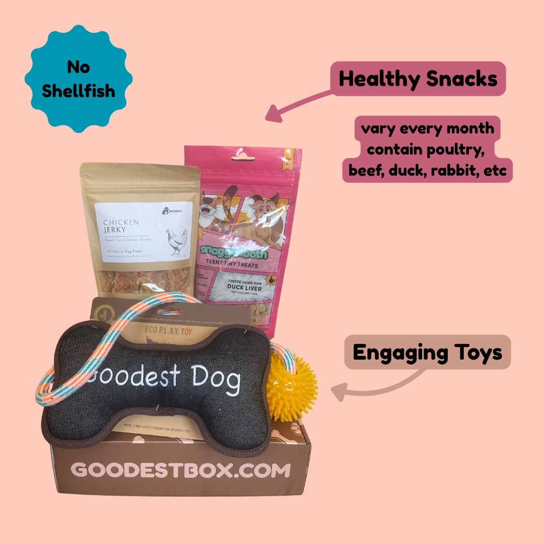 Everyday Vitality Box