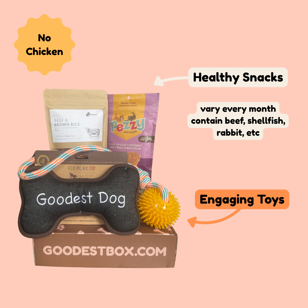 Everyday Vitality Box