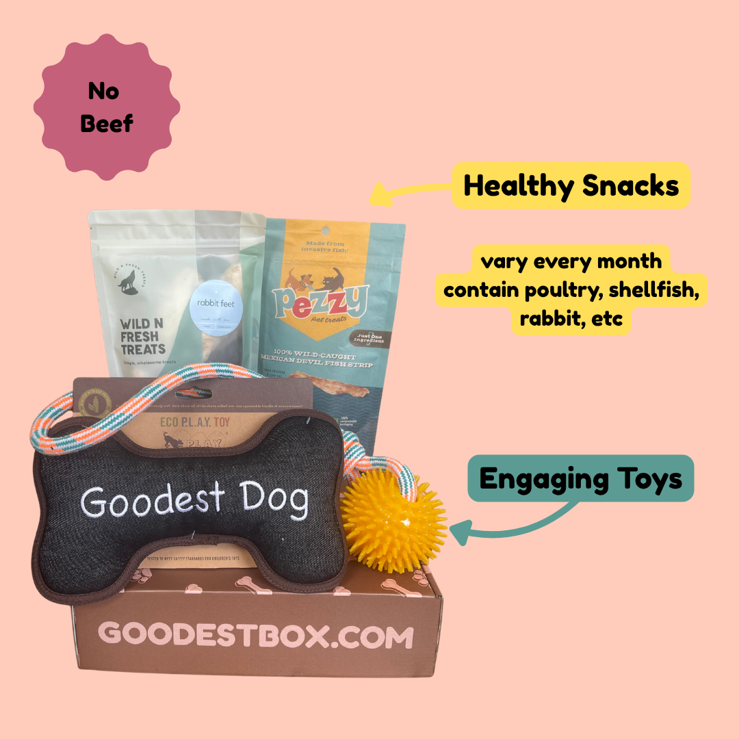 Everyday Vitality Box