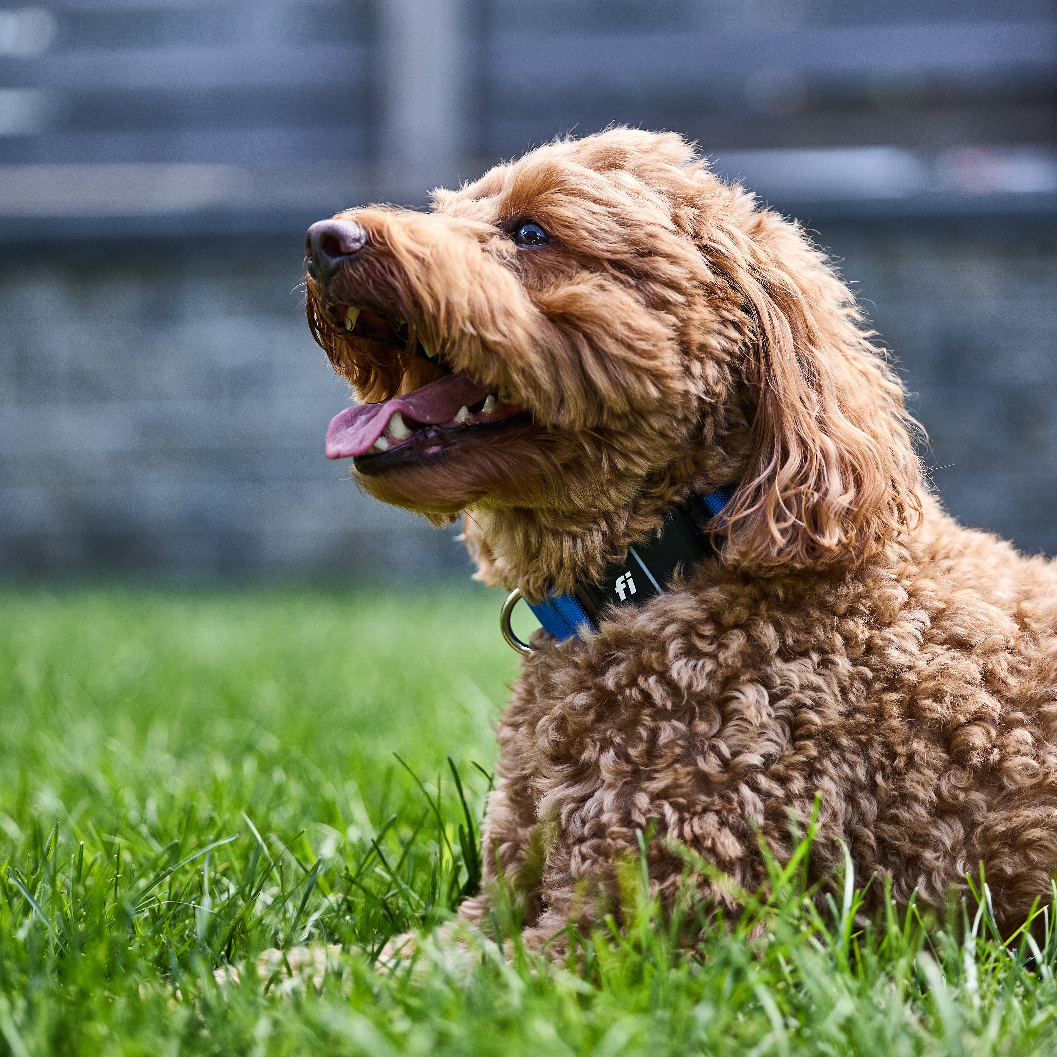 Everyday Vitality Box - Fi Giveaway