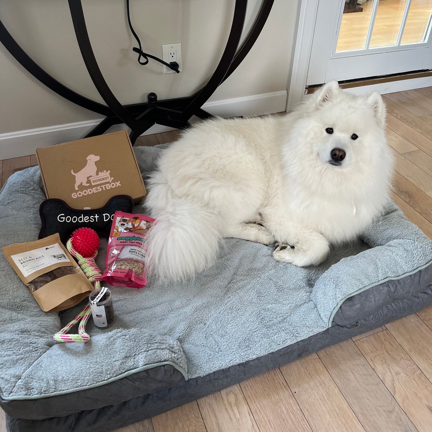 Everyday Vitality Box