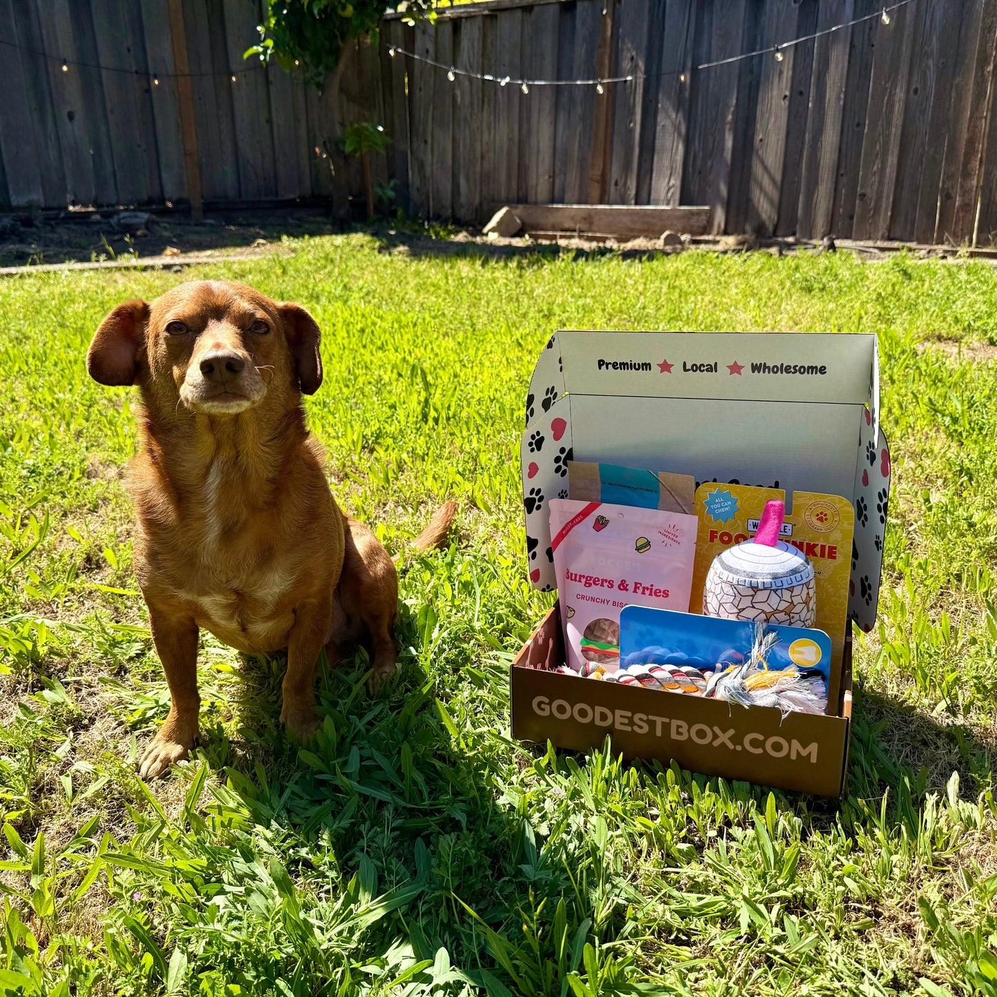 Everyday Vitality Box