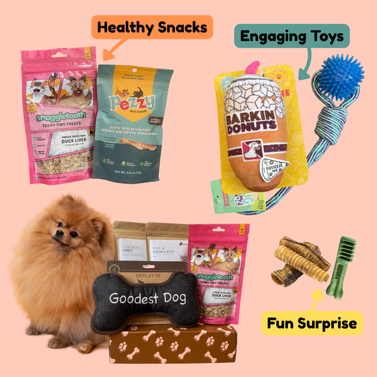 Everyday Vitality Box