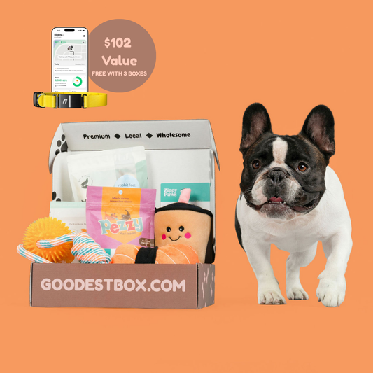 Everyday Vitality Box - Fi Giveaway