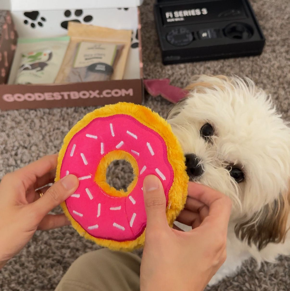 Everyday Vitality Box